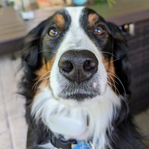 PXL 20230711 121724374.MP.jpg