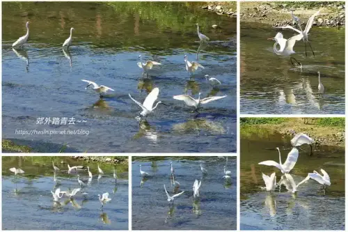 20191011 0279 1.webp