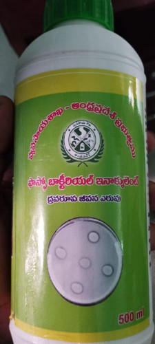 WhatsApp Image 2023 05 11 at 17.20.26.jpg