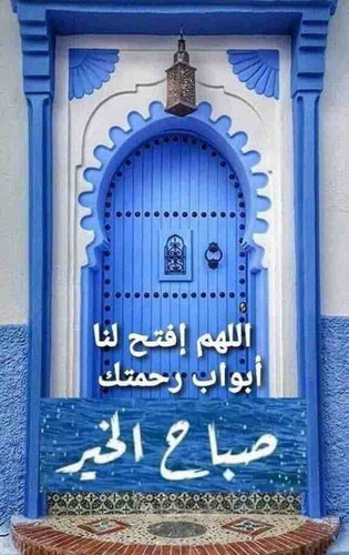 069BFF5C 1D66 4654 A762 51043066902C.jpg