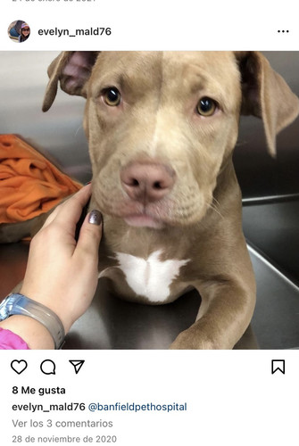 AE9A7646 1D46 494A A0D4 00DCD29DBE9C.jpg