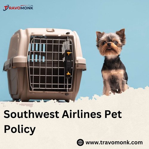 Important Restrictions on Pet Carriers for Southwest Airlines.jpg