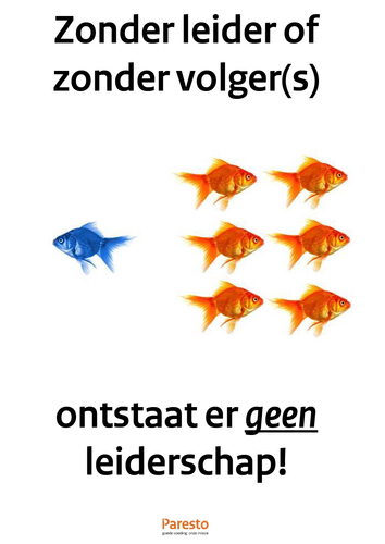 Schermafbeelding 2023 07 12 om 13.57.18.png