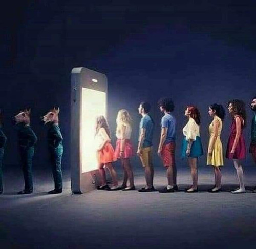 FB IMG 1689135814489.jpg