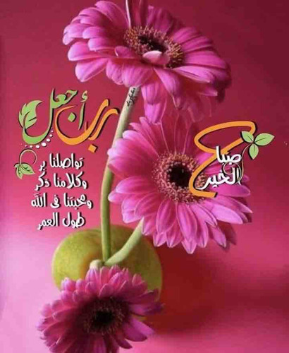 61124B2D 159A 45B8 B37C 7DAFB8277284.jpg