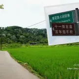 20160502 203 1