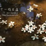 20160502 235拷貝(001)