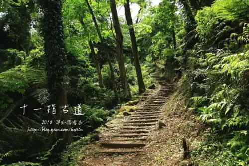 20160502 272.webp