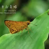20140719 113