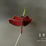 20140719 088