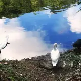20140719 080