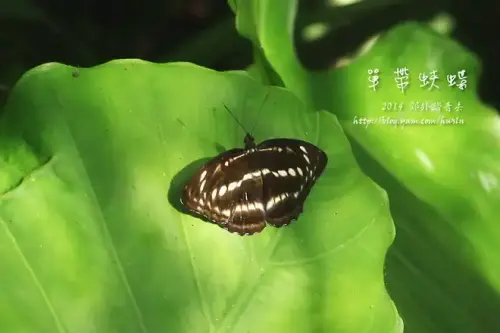 20140719 121.webp