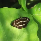 20140719 121