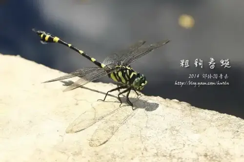 20140719 095.webp