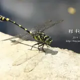 20140719 095