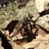 20140719 108