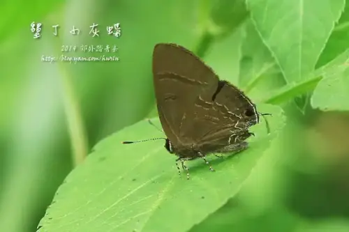 20140719 115.webp