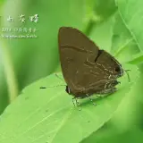 20140719 115