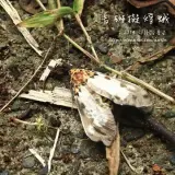 20140719 123
