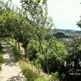 20140719 224