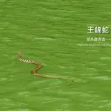 20170926 242