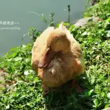 20170926 025 1