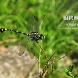 20170926 044