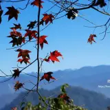 20171222 112