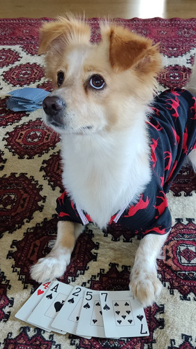 IMG 20230626 122052~2.jpg