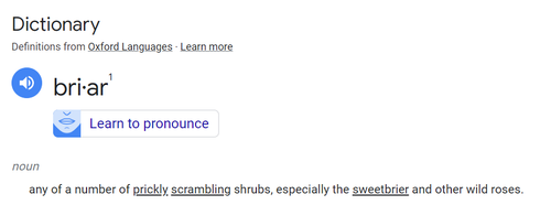 Screenshot 2023 07 11 141152.png