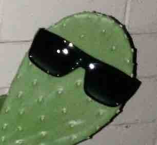 D080D6DA 526D 4211 9051 BCA3AAE616A8.jpg