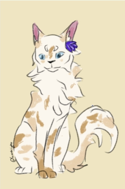 Screenshot 20230624 121132 Drive.jpg