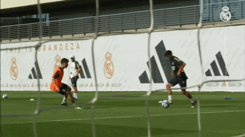 ezgif 1 8c9e74a908.gif