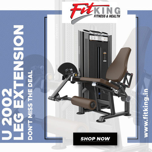 LEG EXTENSION U 2002 Fitking Fitness.jpg