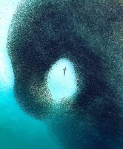 images 2023 07 10T174218.602.jpg