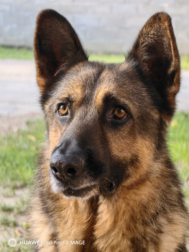 IMG 20230712 070711.jpg