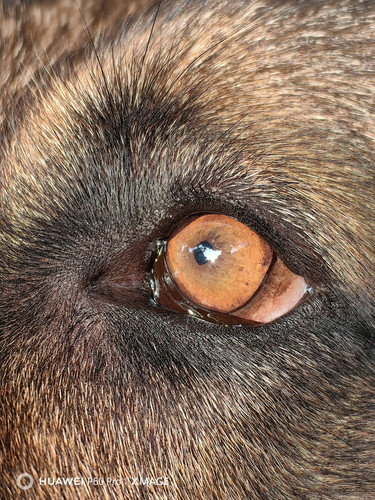 IMG 20230712 070752.jpg