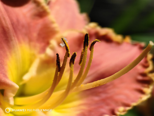 IMG 20230712 125931.jpg