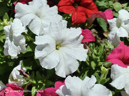 IMG 20230712 130211.jpg