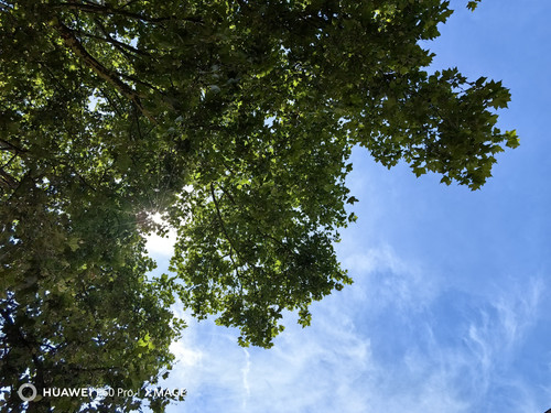 IMG 20230712 125518.jpg