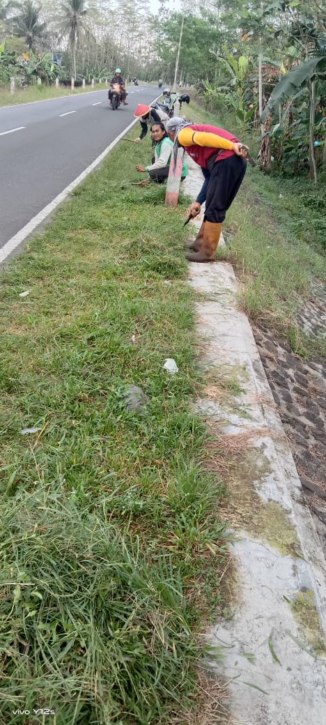 Pekiringan Rembang (rumput).jpg