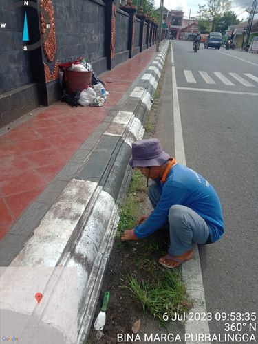Jambukarang (rumput).jpg