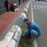 Jambukarang (rumput)