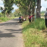 Panican Linggamas (rumput)