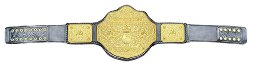 BeltWorldChamp 2 (1).png