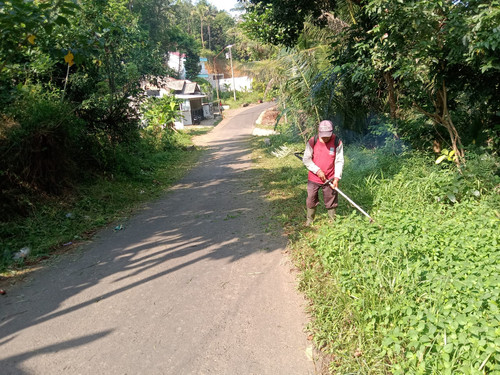 Pepedan Kaliputih (rumput) (2).jpg