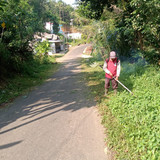 Pepedan Kaliputih (rumput) (2)