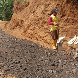 Danasari Sirau (penanganan)