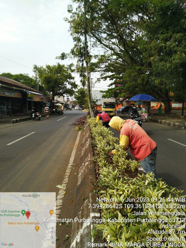 Wiramenggala (rumput).jpg