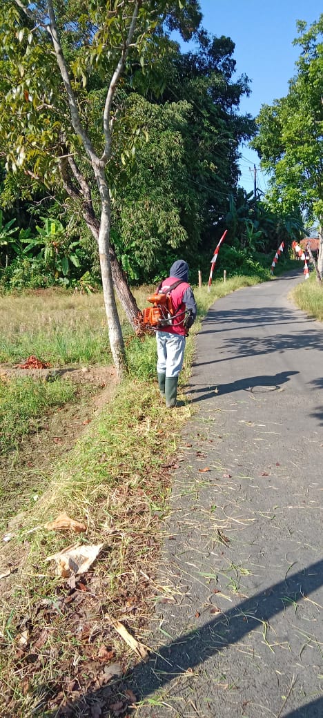 Pepedan Kaliputih (rumput).jpg